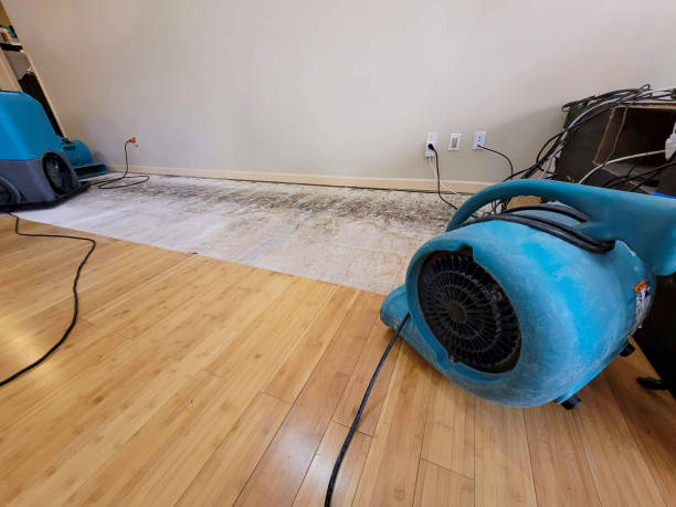 Professional Water Damage Repair technician working in Dandridge, TN
